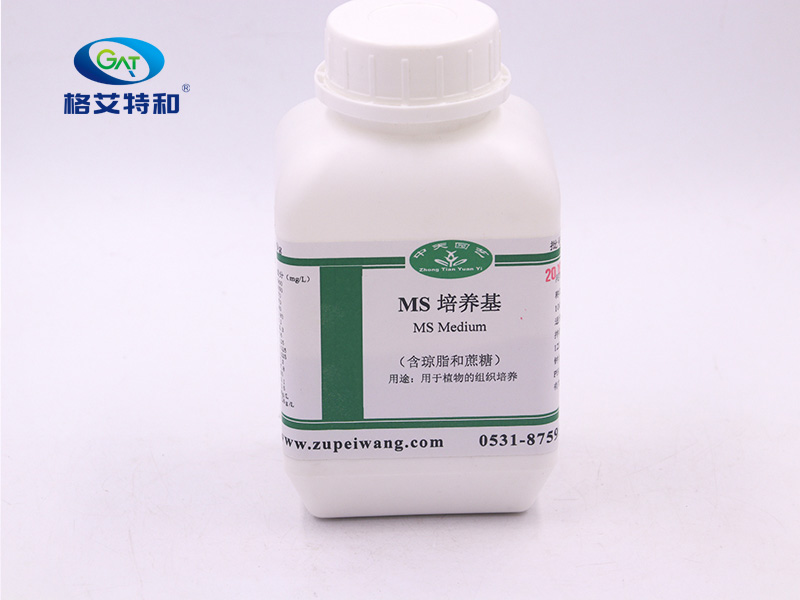 MS培養(yǎng)基(含瓊脂和蔗糖