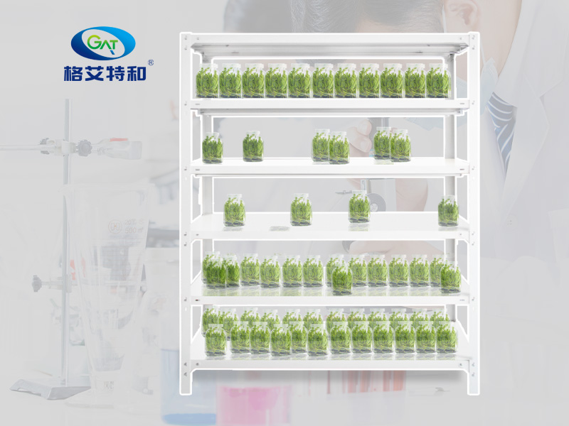組培架 組培架