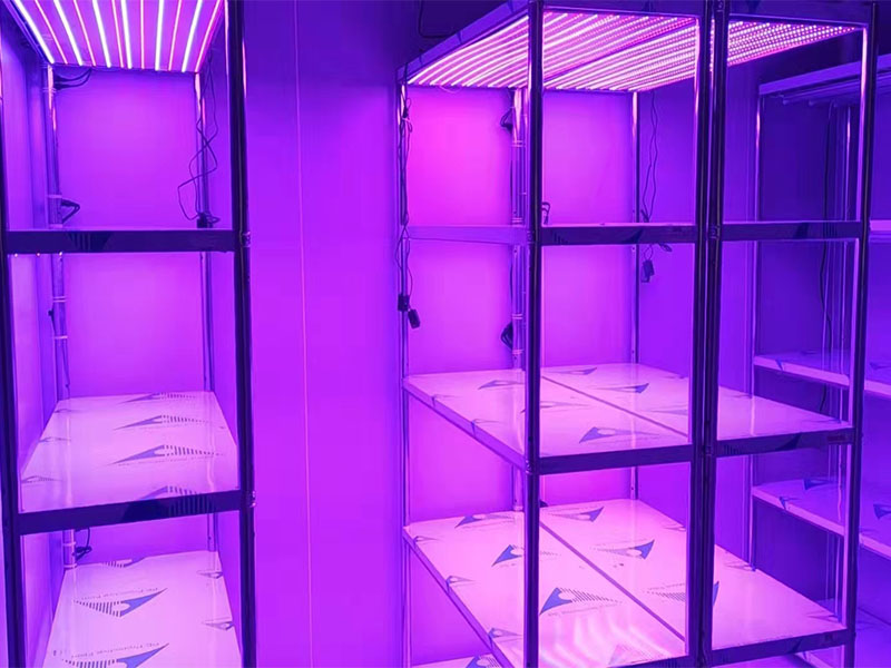 福州市平潭縣臺灣創業園可調光譜組培架工程