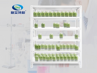 培養架,組培架