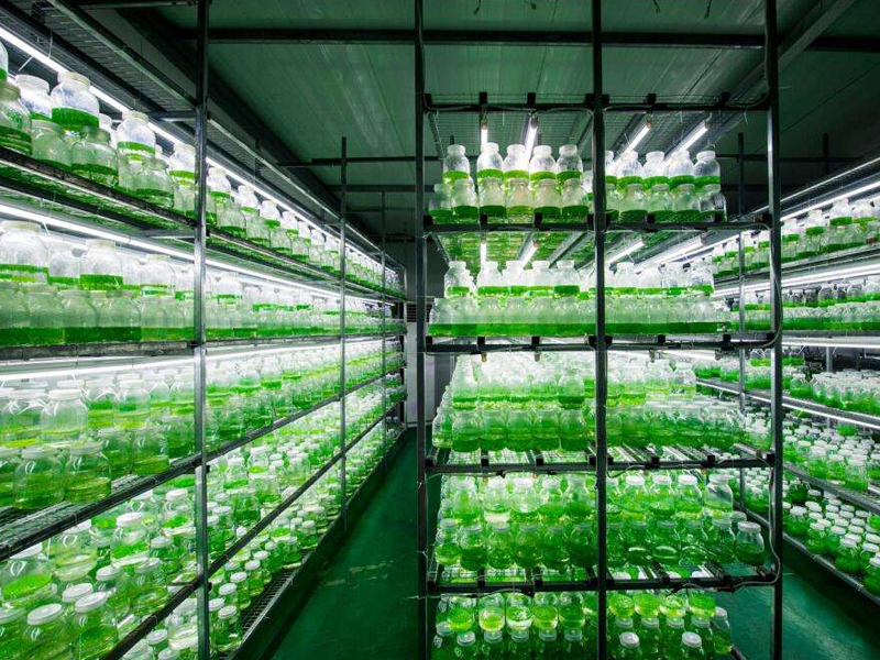 組培室6 組培室6