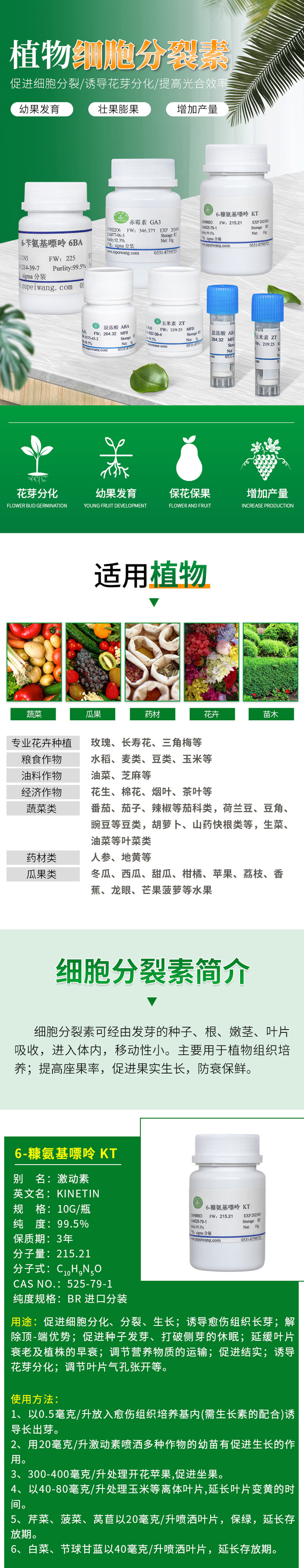 6-糖氨基嘌呤（KT）