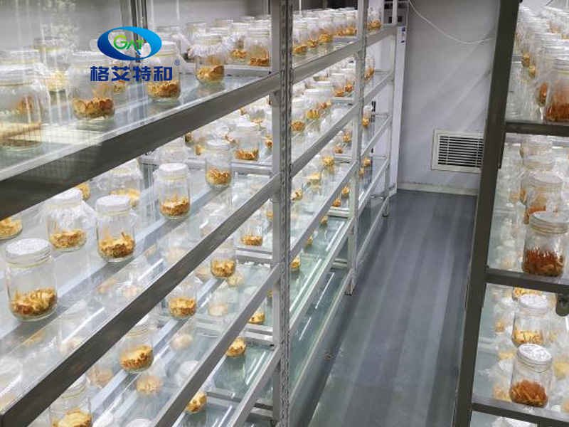 組培架,培養(yǎng)架