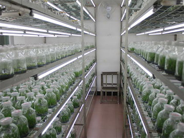 組培設備 組培設備