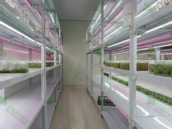 組培室設計廠家