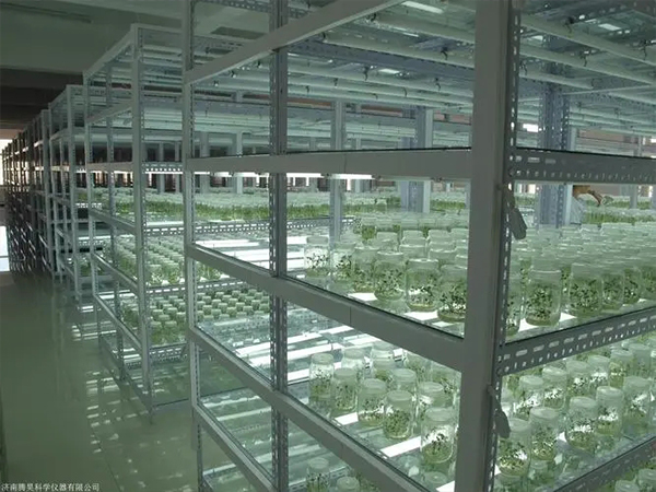 組培室設計建設廠家 組培室設計建設廠家