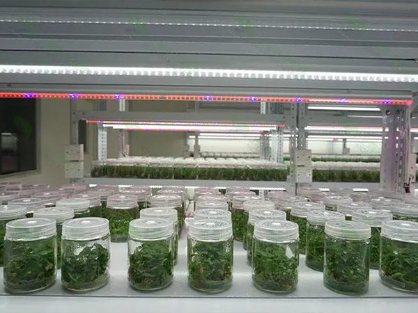 組培室設計建設