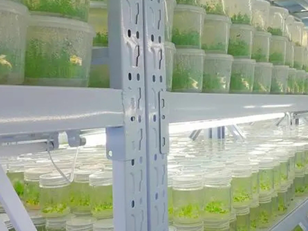 組培室設(shè)計建設(shè)公司