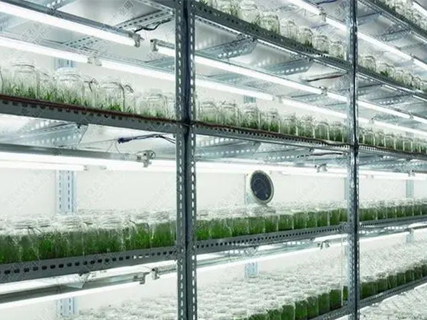 組培室設計 組培室設計