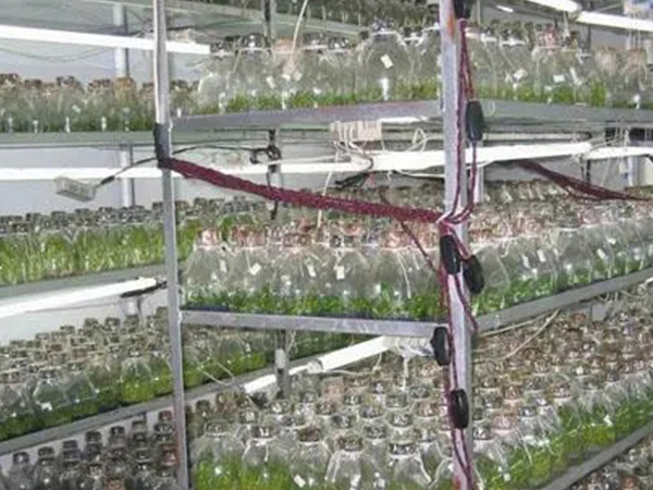 組培室設計公司 組培室設計公司