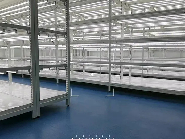 組培室設(shè)計公司