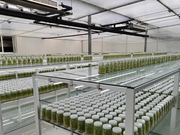 組培架廠家 組培架廠家