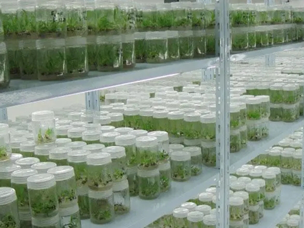 組培室設計公司